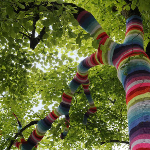 tree trunk wrapped with striped knitting