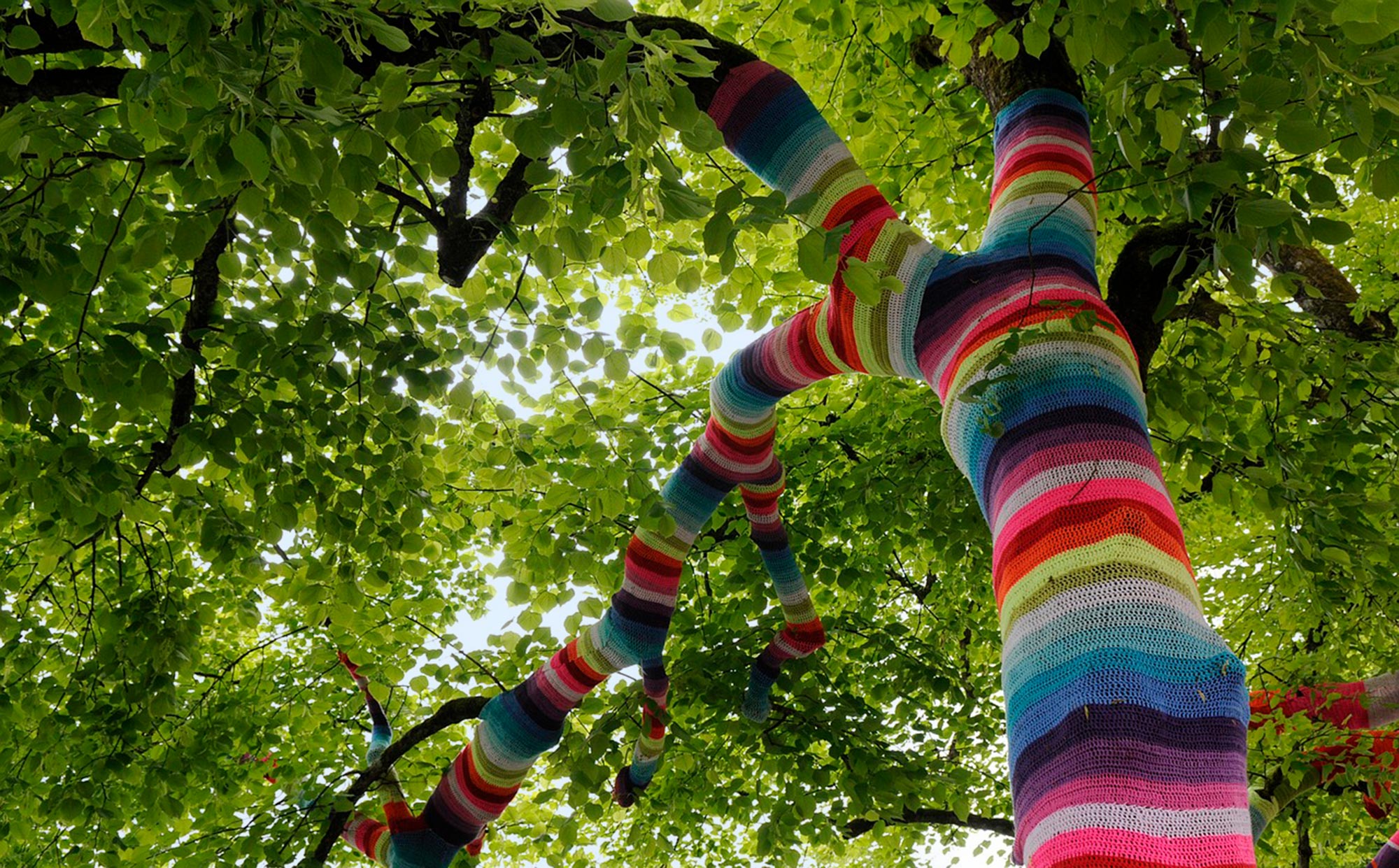 Yarn bombing – it’s so 2005